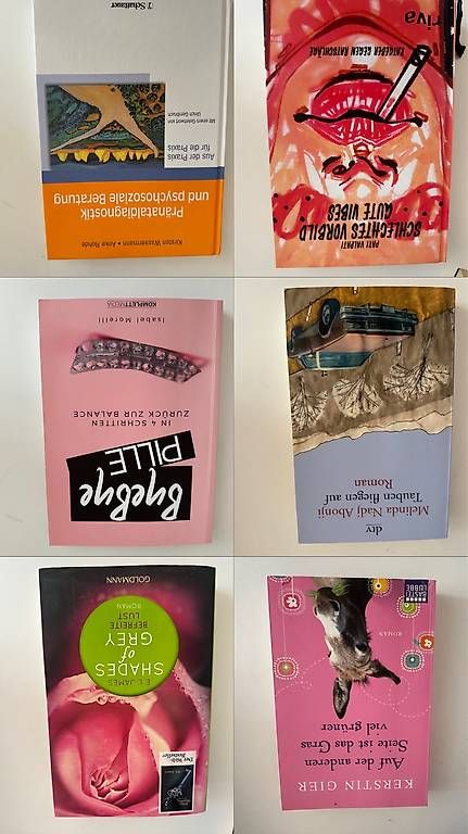 Livres: Verschiedene Bücher – D'occasion à Friltschen par car_n5y6 1