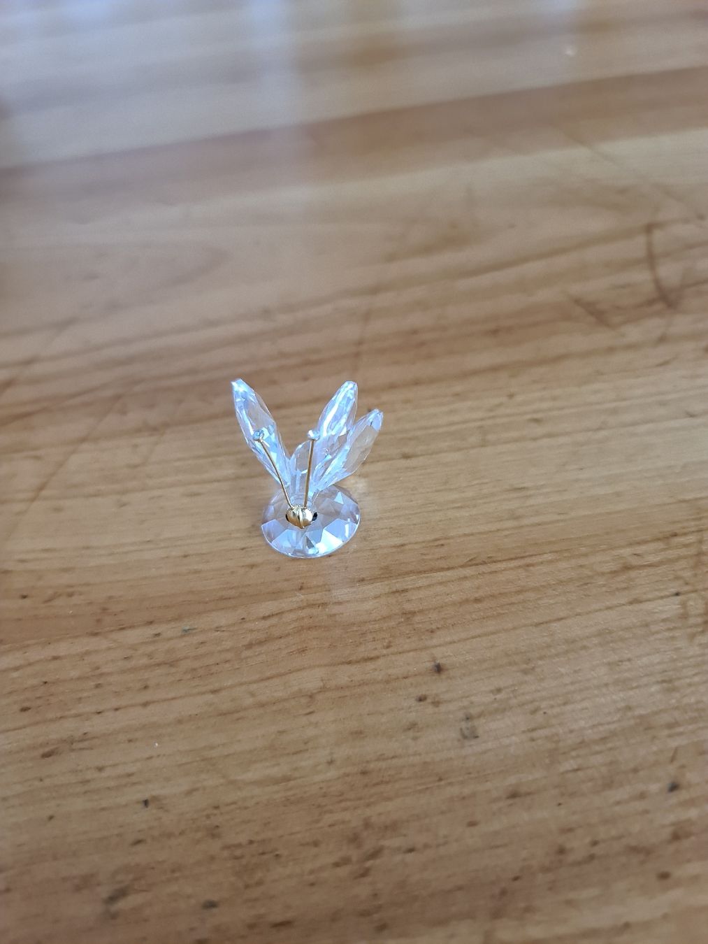 Swarovski Statuette: Swarovski Figur Schmetterling Originalverpackt  – Usato da henau venduto da Rockj 2