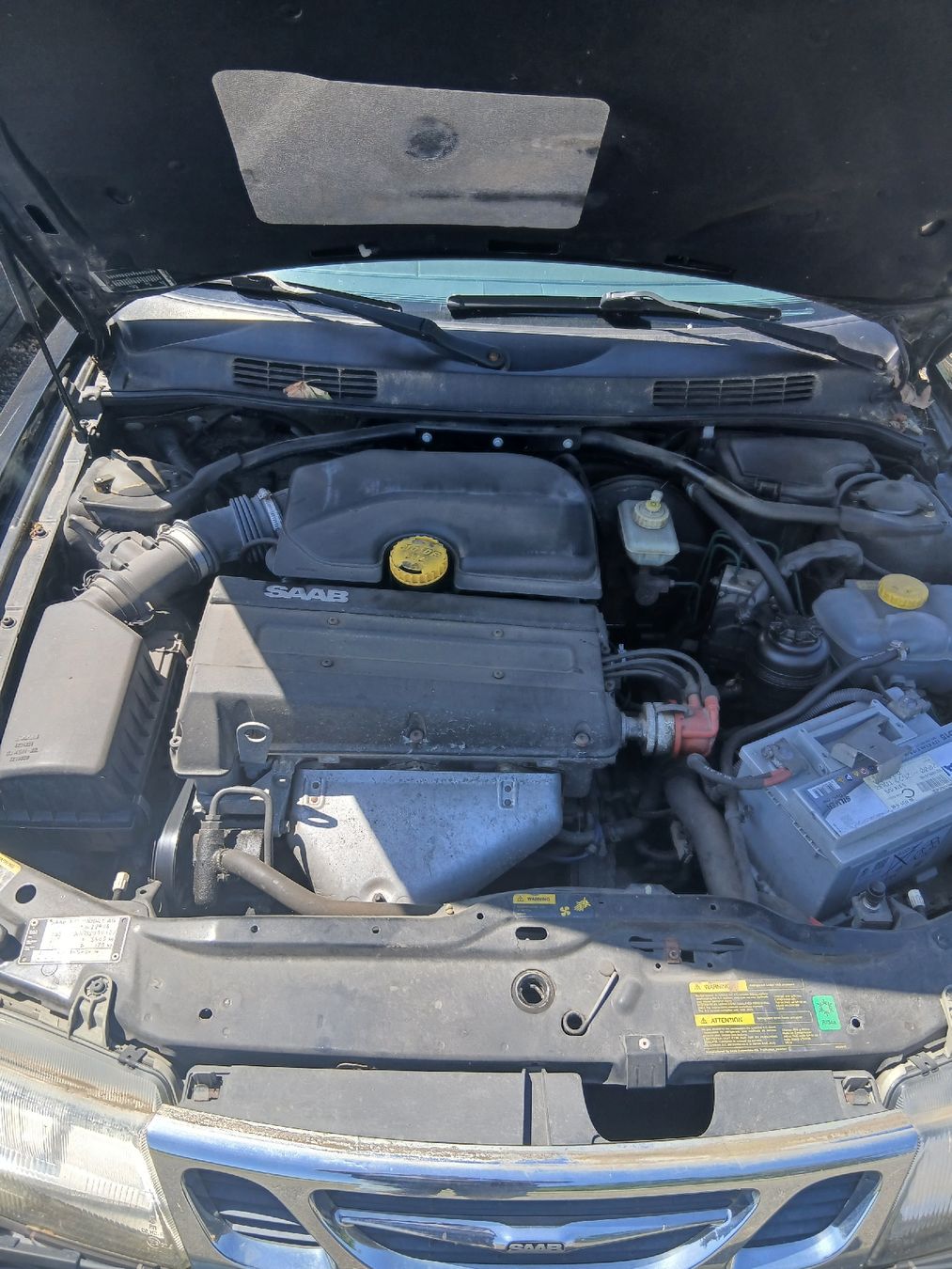 Saab Autos: Saab 9,3 schlachtfest – Gebraucht aus Safenwil von saavo 5