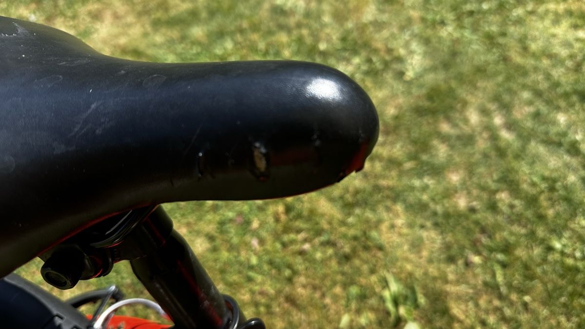 Vélos: Kinderfahrrad Python Racer 20 Zoll Rot gebraucht – D'occasion à Walzenhausen par Thomas0891 1