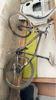 Whistle Mountainbike gebraucht