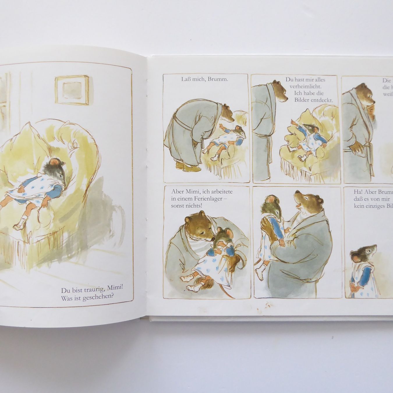 Libri: Mimi und Brumm beim Fotografen – Usato da Basel venduto da Kunterbunt12 5