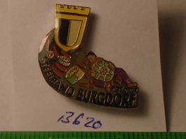 1 Steelband Burgdorf Pin (B620)