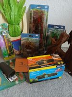 Aquarium Decoration