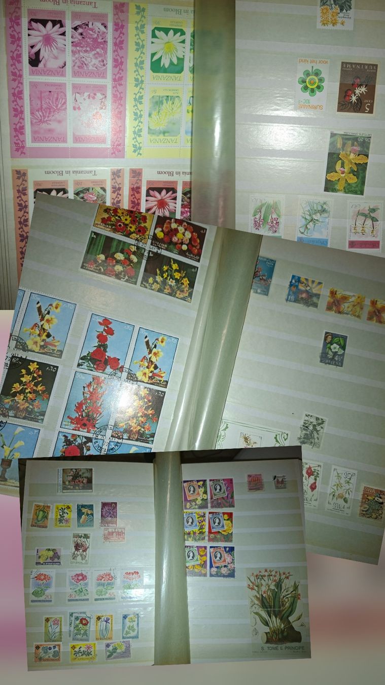 Alle Briefmarken: Sammlung Briefmarken / Bmumenmotive – Gebraucht aus Balgach von SIMEON27