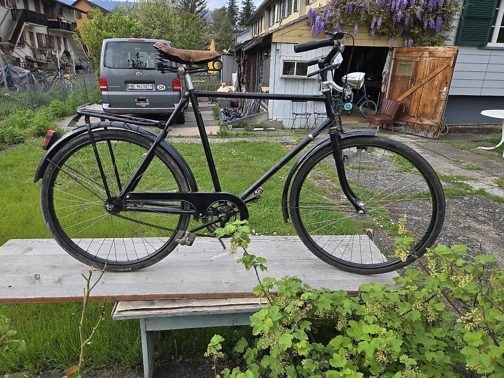 Biciclette: Zeughausvelo Diana – Usato da Biel/Bienne venduto da Rouf7