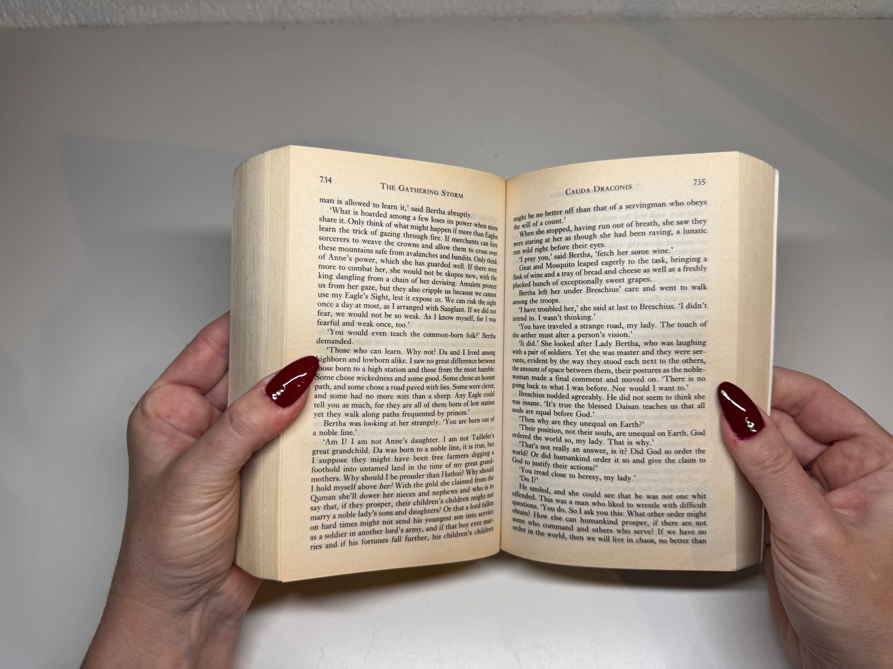 Libri: NOVEL: Kate Elliott, The Gathering Storm – Usato da Grosswangen venduto da English_books 7