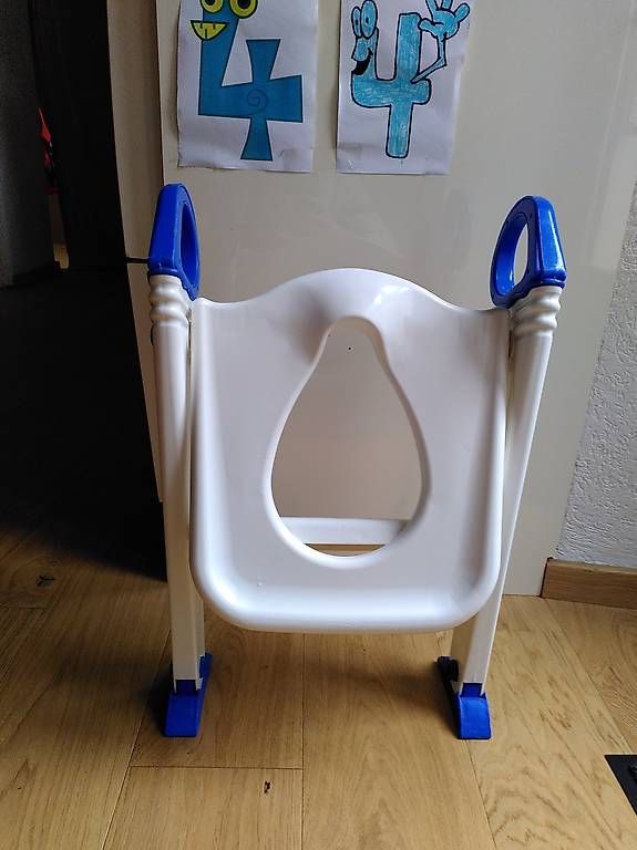 WC: Riduttore WC bambino con scaletta e maniglie – Usato da Sessa venduto da uza_x5jm