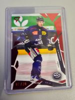 25/26 Sportzoo, National L., Deep Red/20, Landry, HCAP