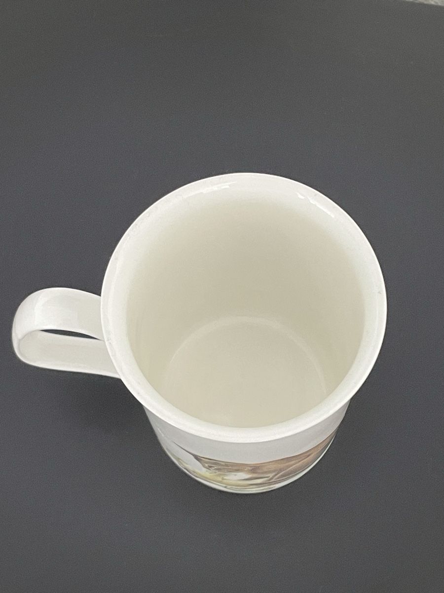 Tazze: Tasse Roy Kirkham Cat Lovers  – Usato da Villars-le-Grand venduto da Scaoli 2
