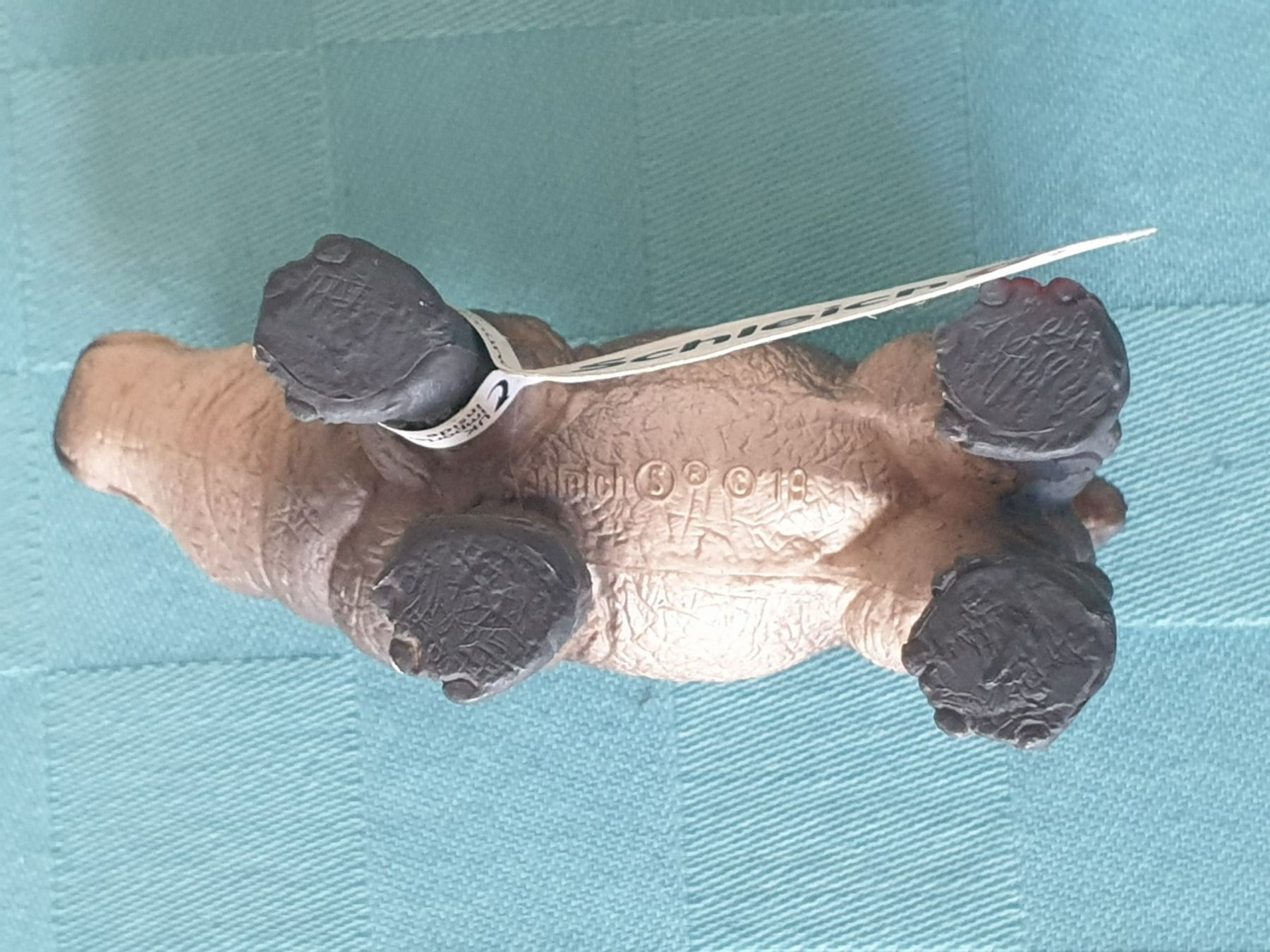 Schleich Statuette: Nilpferd Junges Zootier Tier Schleich – Nuovo (secondo la descrizione) da Mörschwil venduto da spirspi 7