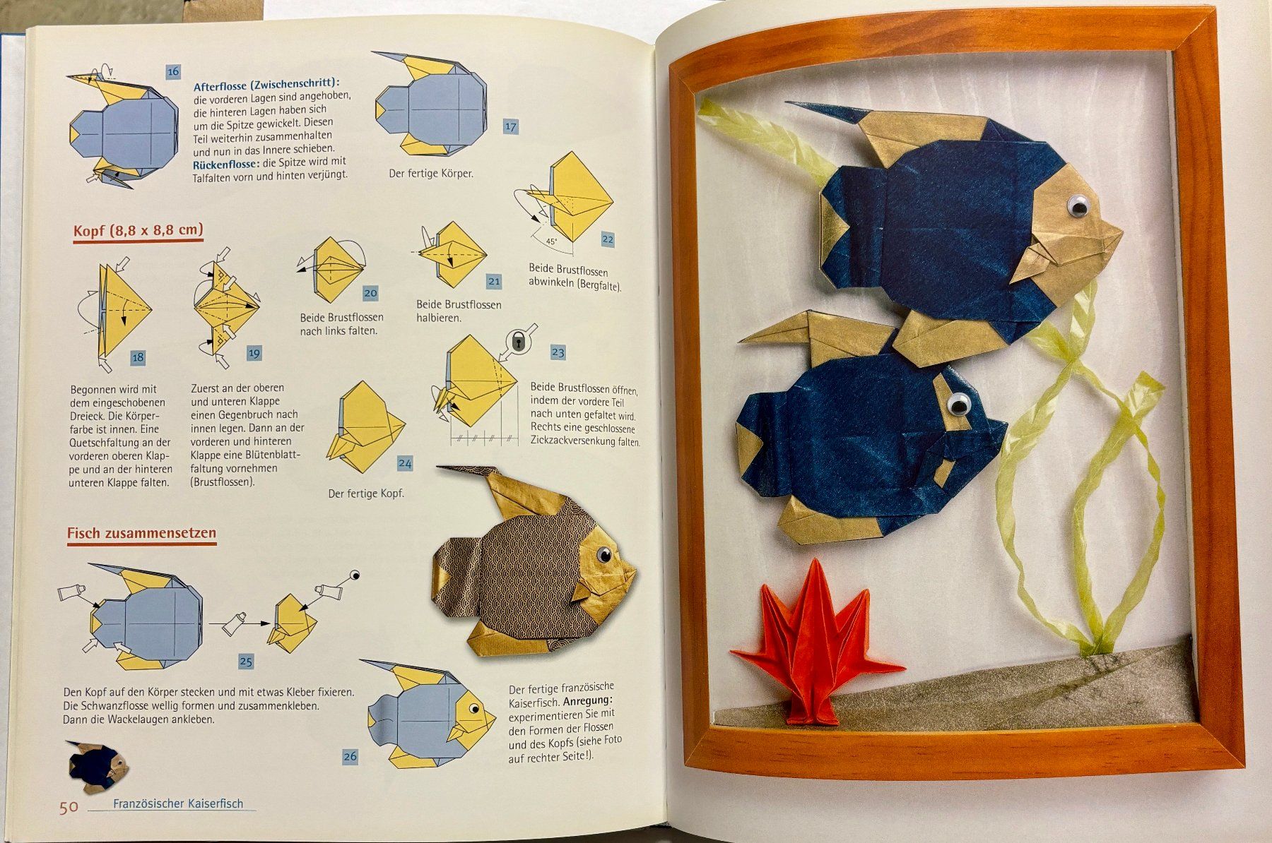 Libri: Origami aus Neptuns Reich – Usato da Sarnen venduto da Livres 2