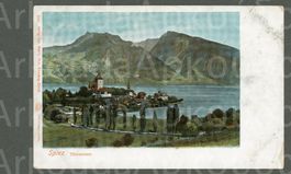 AK Farblitho Spiez BE Thunersee und Niederhorn ≈ 1903