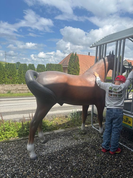 Pferd 3D Lebensgrosse Tierfigur Gartenfigur Gebraucht In 