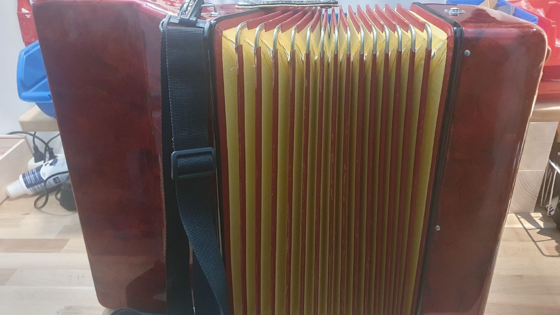 Strumenti musicali: Akkordeon der Marke Champion – Usato da Rafz venduto da YEL01 2