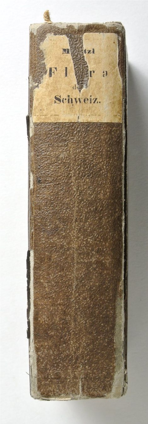 Libri: Moritzi, A. Die Flora der Schweiz, mit besonderer – Usato da Erschwil venduto da taglang 3