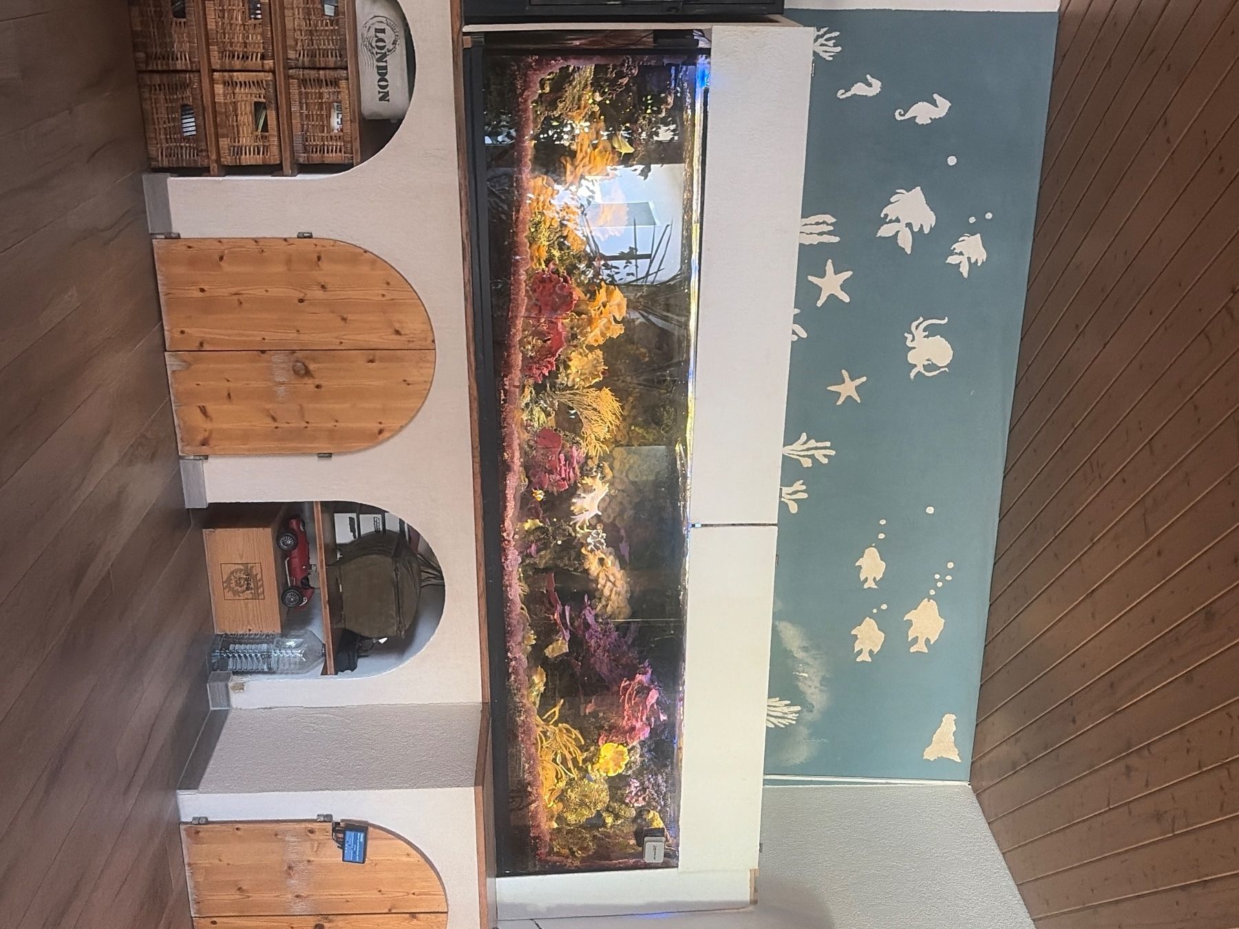 Aquarium: Aquarium eau de mer complet 900lt – Gebraucht aus Montbrelloz von BCA1968