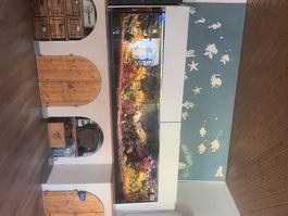 Aquarium eau de mer complet 900lt