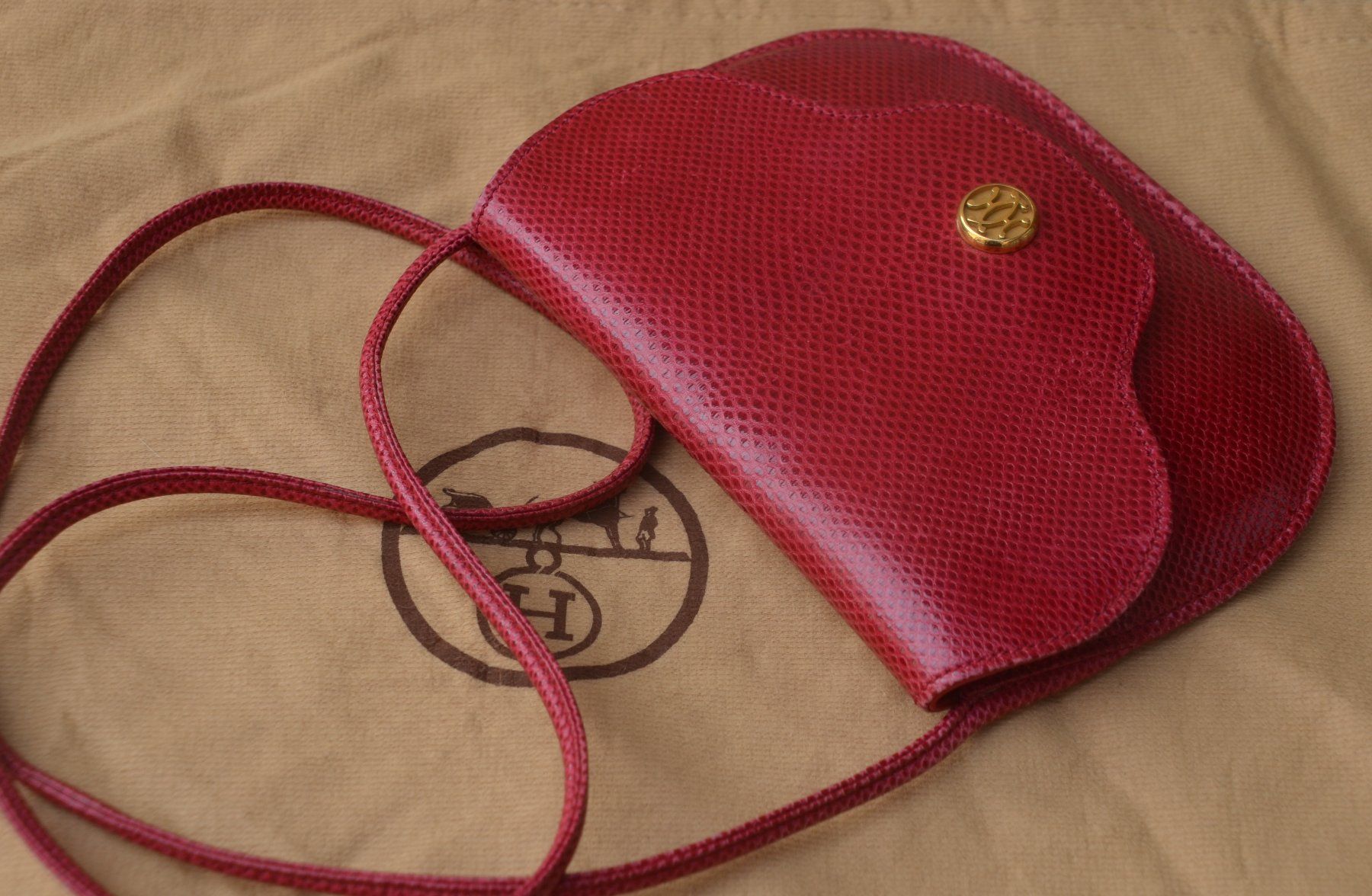 Hermès Borse da donna: Hermès Tasche Eidechsenleder / Sac cuir de lézard – Usato da Collonges venduto da Auganien 2