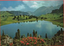 ZWEISIMMEN Seebergalp mit Seebergsee und Niesenkette