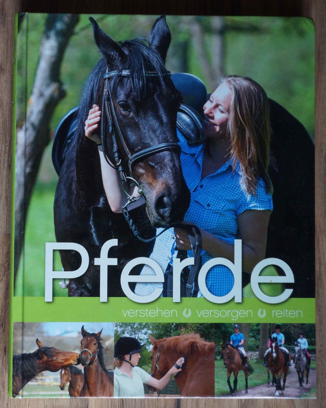 Libri: Pferde verstehen, versorgen und reiten – Usato da Schindellegi venduto da woneschi