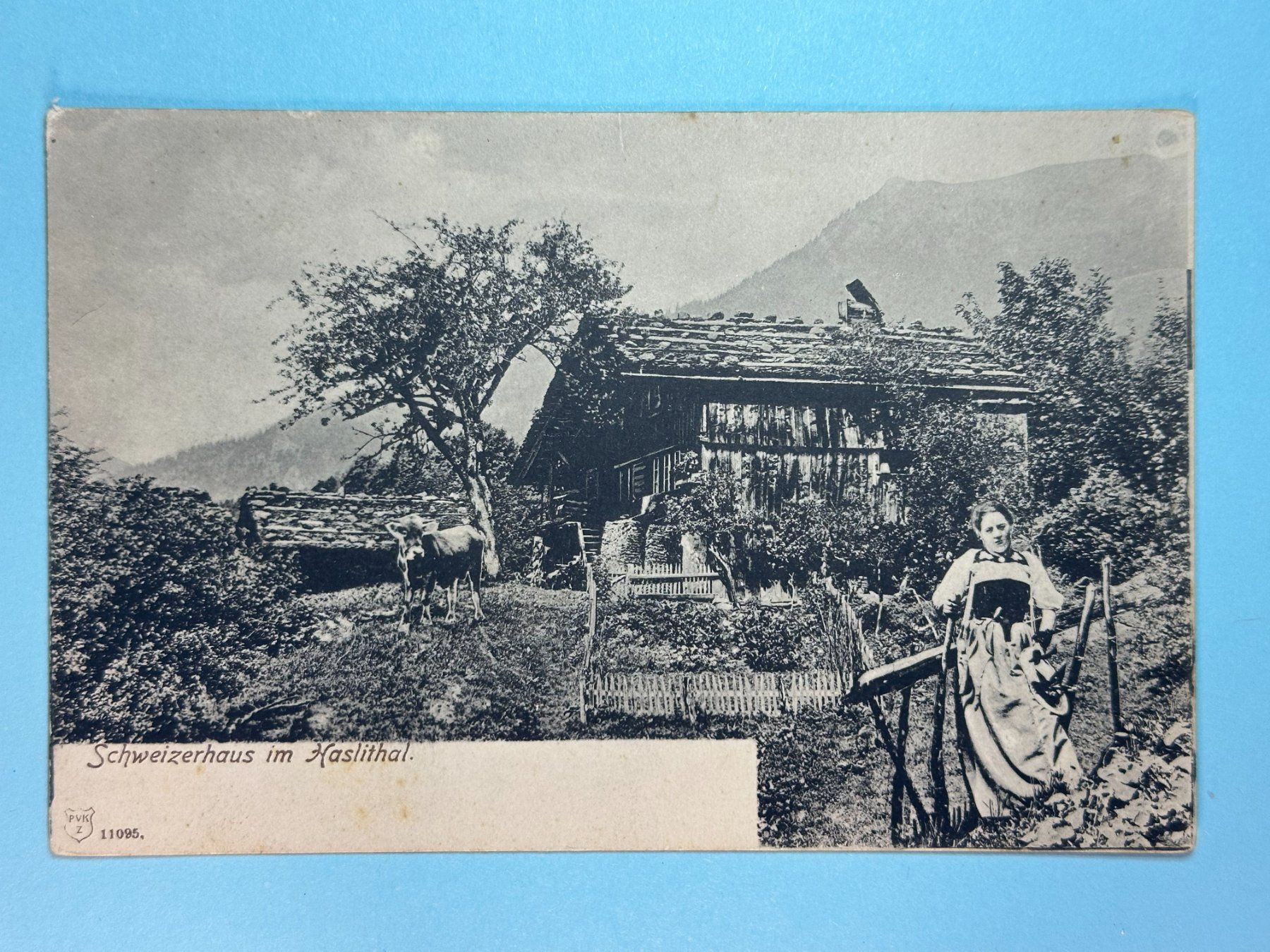 Ansichtskarten: Schweizerhaus im Haslital – Gebraucht aus Steg VS von danwer74