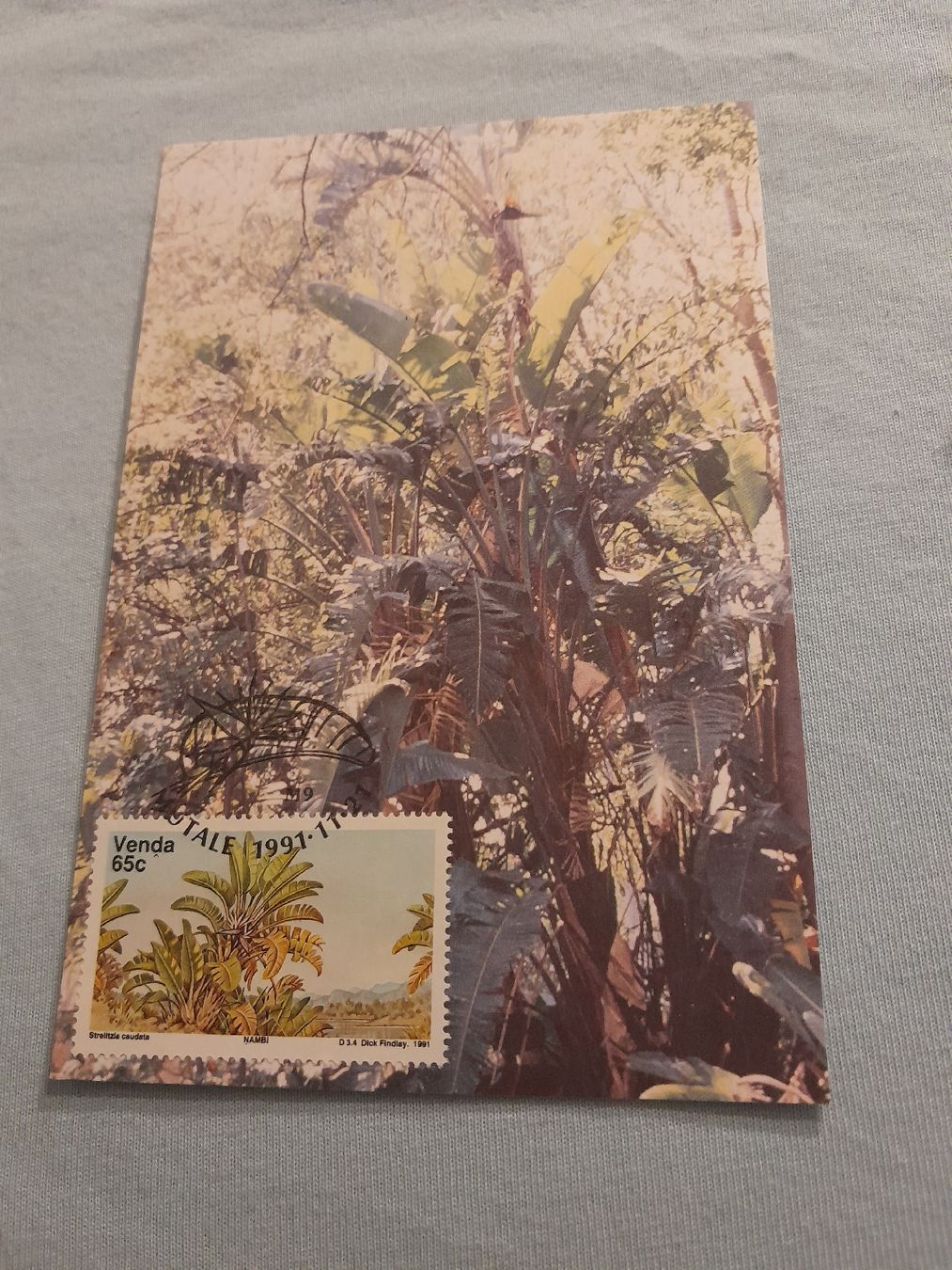 Alle Briefmarken: Carte postale vintage avec timbre, thème tropical rare – Gebraucht aus Marly von globetrotter1723