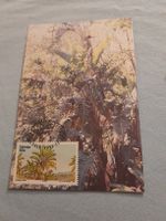 Carte postale vintage avec timbre, thème tropical rare