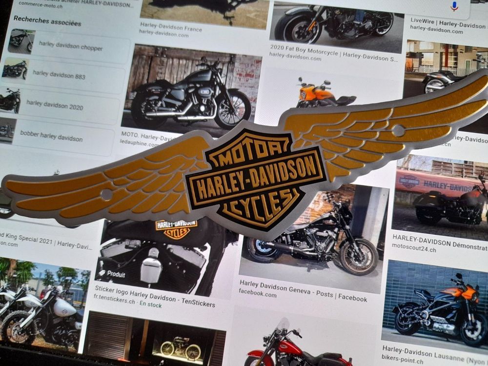 Bandana Tour de cou Harley Davidson J105