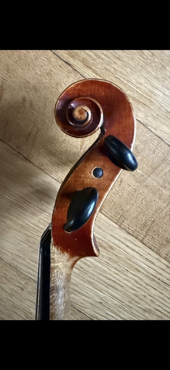 Musikinstrumente: 4/4 Geige – Gebraucht aus Bern von kabinettstueck 2