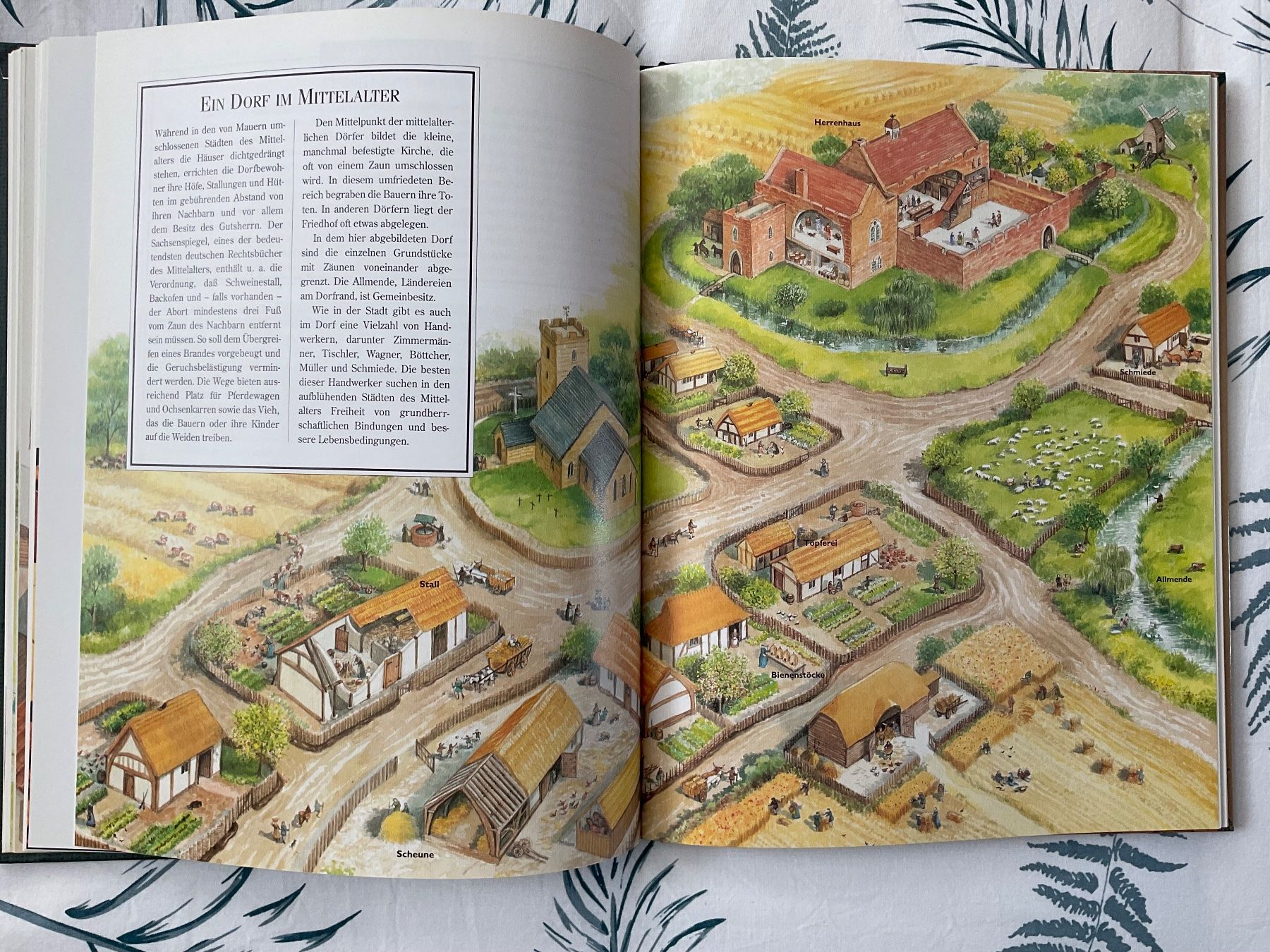 Libri: Lebensalltag im Mittelalter – Usato da Zürich venduto da Tolima194 3