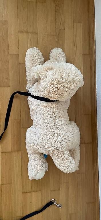 Giocattoli: Plüschhund gross – Usato da Schaffhausen venduto da chr_h86k 2