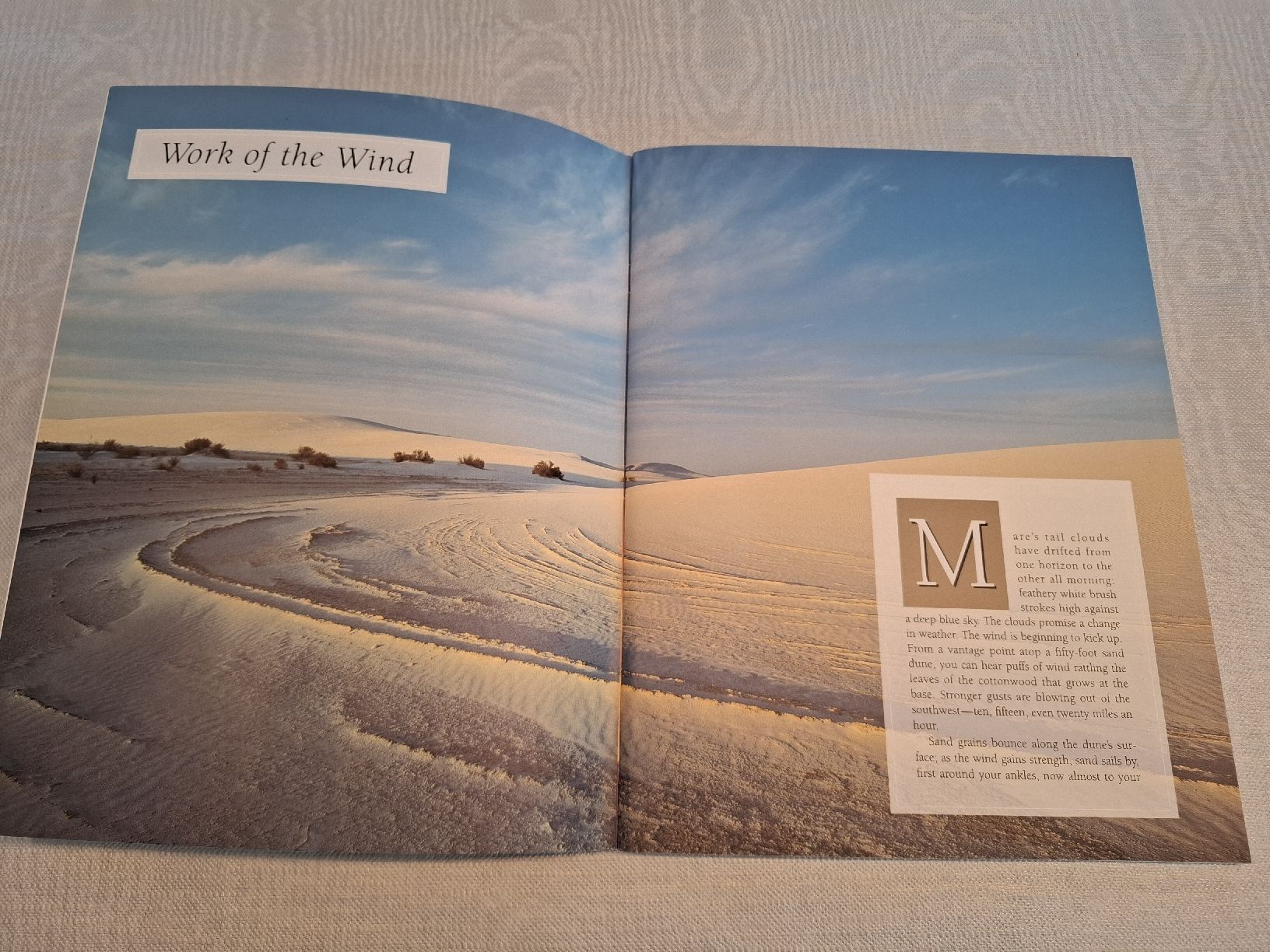 Riviste & Magazine: Katalog White Sands National Monument – Usato da Bäretswil venduto da Galada 3