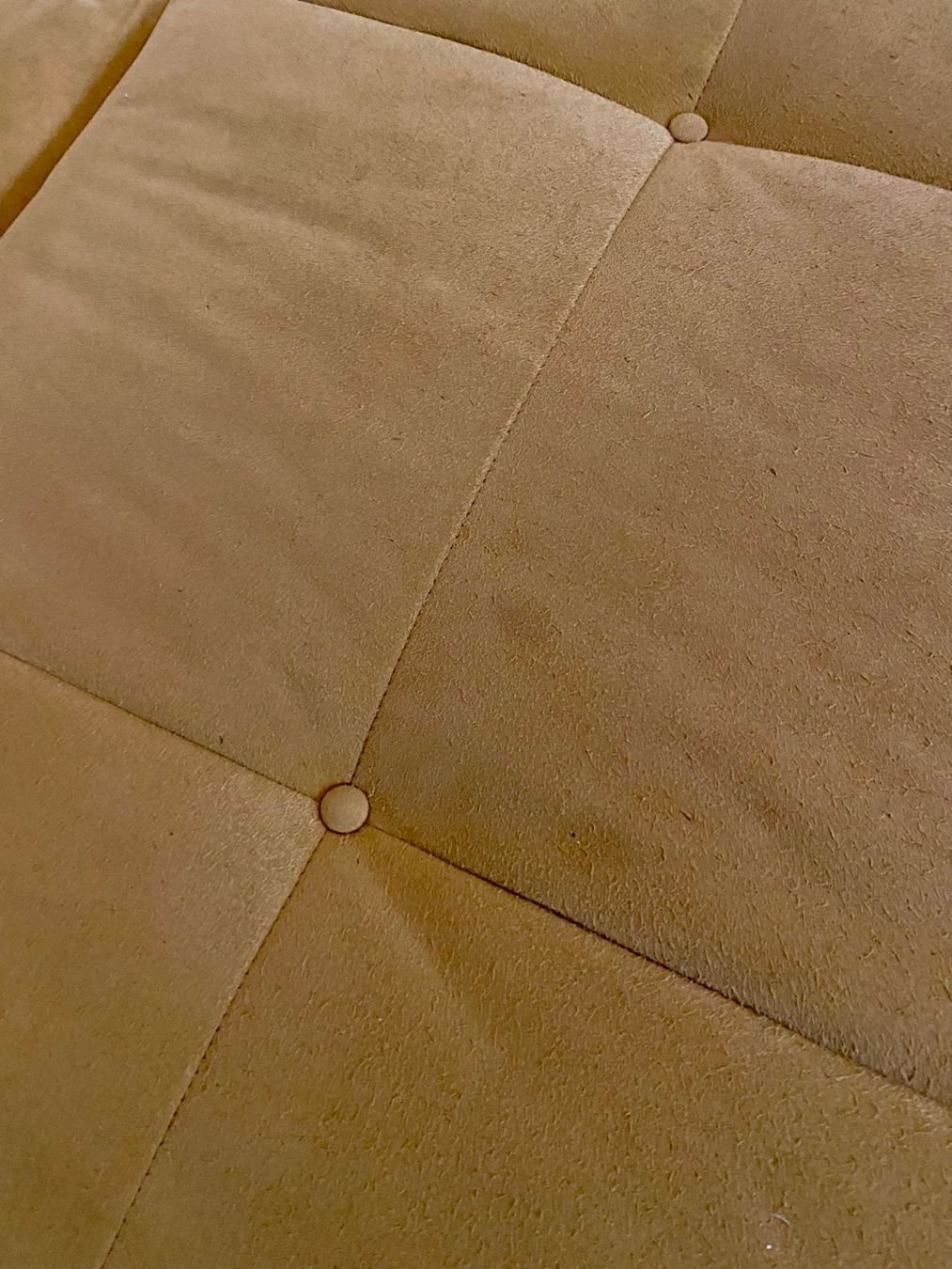 Sofas: Designersofa Ligne Roset Smala - gelb – Gebraucht aus Winterthur von Patipippilotta7 4