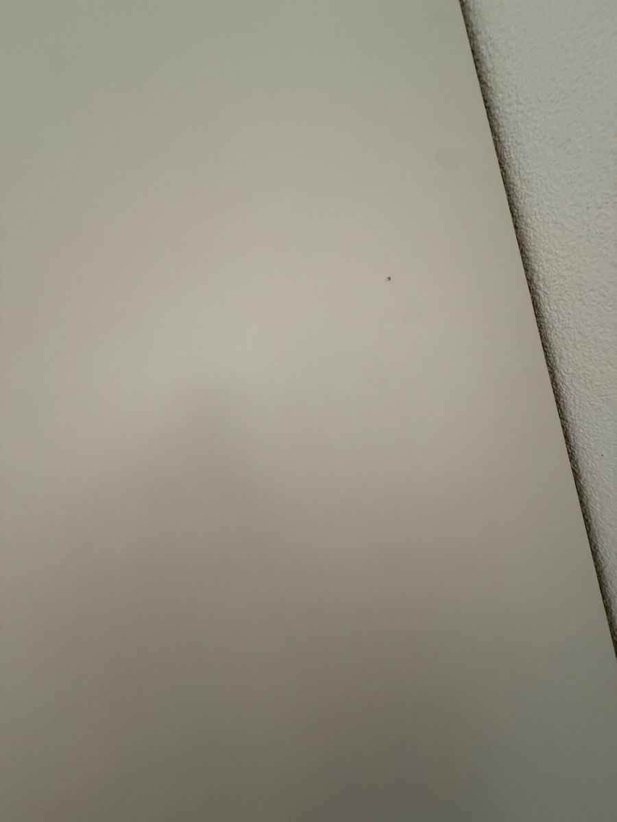 Armadi: Ikea Pax Schrank  – Usato da Kölliken venduto da Vivii01 1