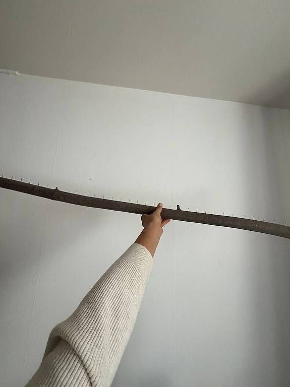 Tutte le decorazioni: Handcrafted natural branch rack – Usato da Zürich venduto da gen_mw79 1