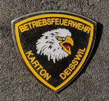 CC824 - Pin Betriebsfeuerwehr Karton Deisswil