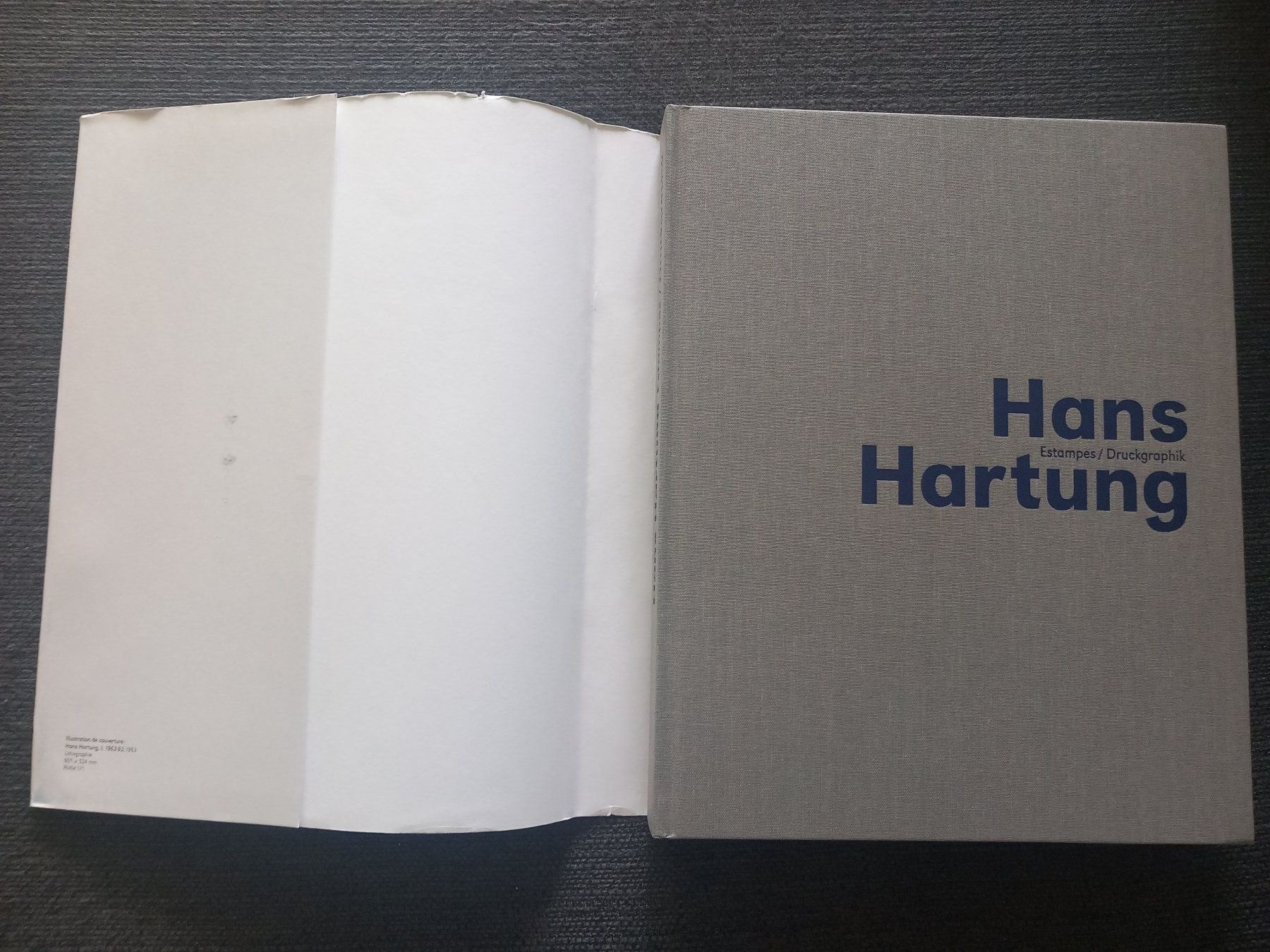 Libri: Livre - Hans Hartung - Estampes / Druckgraphik – Usato da Bernex venduto da casimali 2