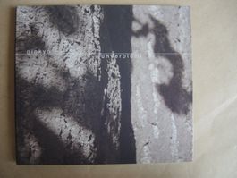 GINKYO " unverblümt " CD (Coverversionen) 2014