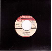 The spotnicks - hava naguila