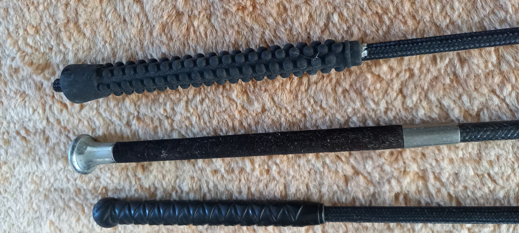Altro in Accessori per animali: reitgerte – Usato da Höri venduto da bsc_68fw 4