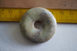 Krokofanto  Fossilie Koralle   Lemuria  Pi Scheibe