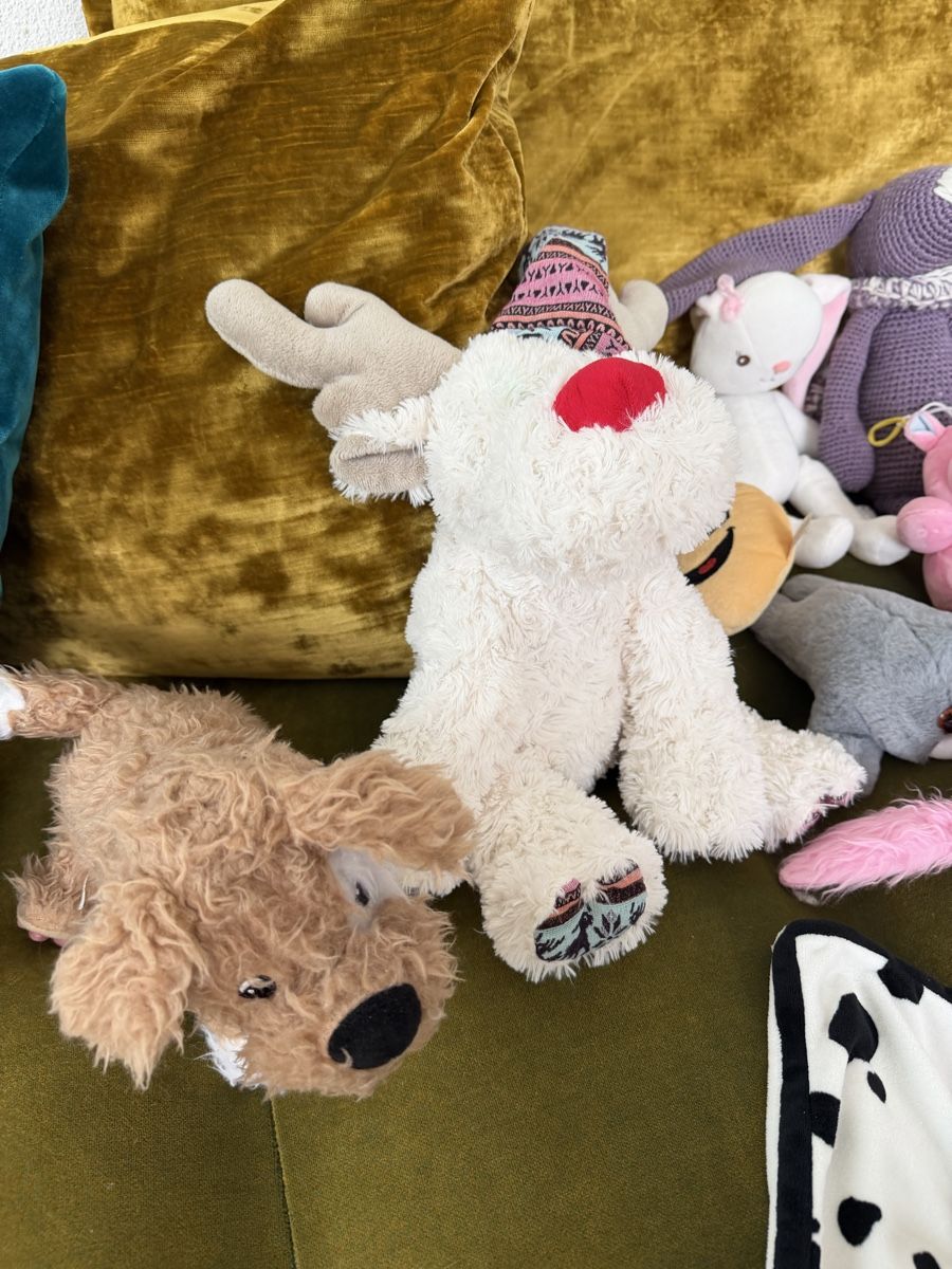 Spielzeuge: Kinderpaket: Plüschtiere/ Stofftiere/ 13 St – Gebraucht aus Zumikon von DamenFashionShop 4
