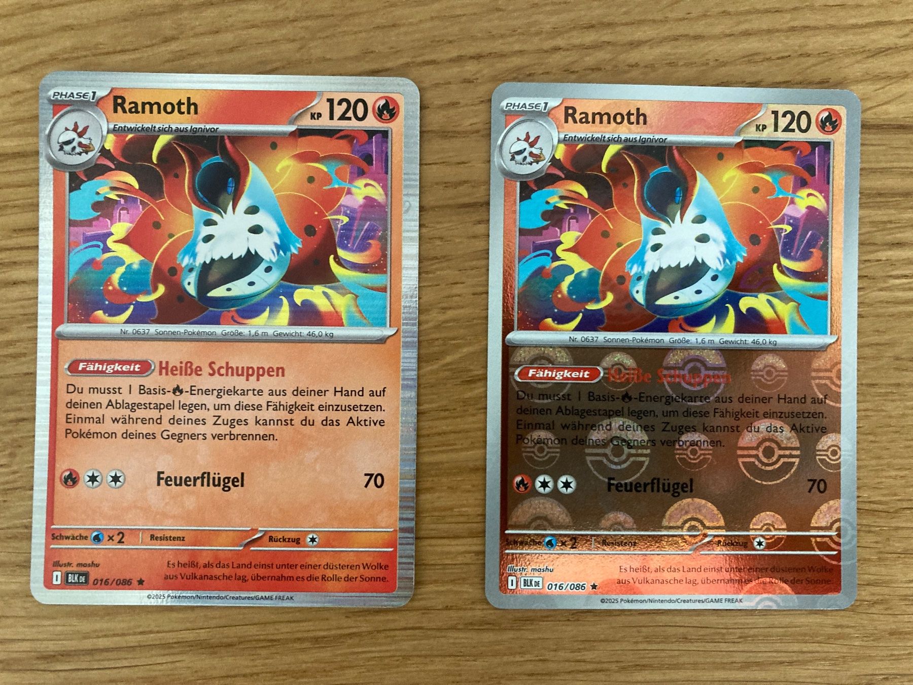 Pokémon Sammelbilder & Trading cards: Ramoth Holo & Pokeball Reverse Holo Schwarze Blitze BLK DE – Neu (gemäss Beschreibung) aus Mettmenstetten von rob_2cfb