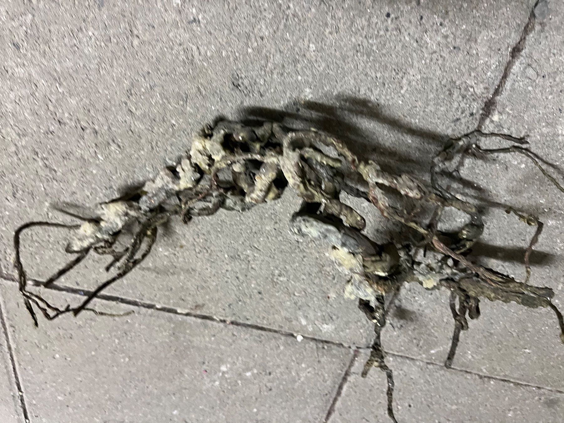 Alle Dekorationen: Dekoholz – Gebraucht aus Weisslingen von Eniclote 1