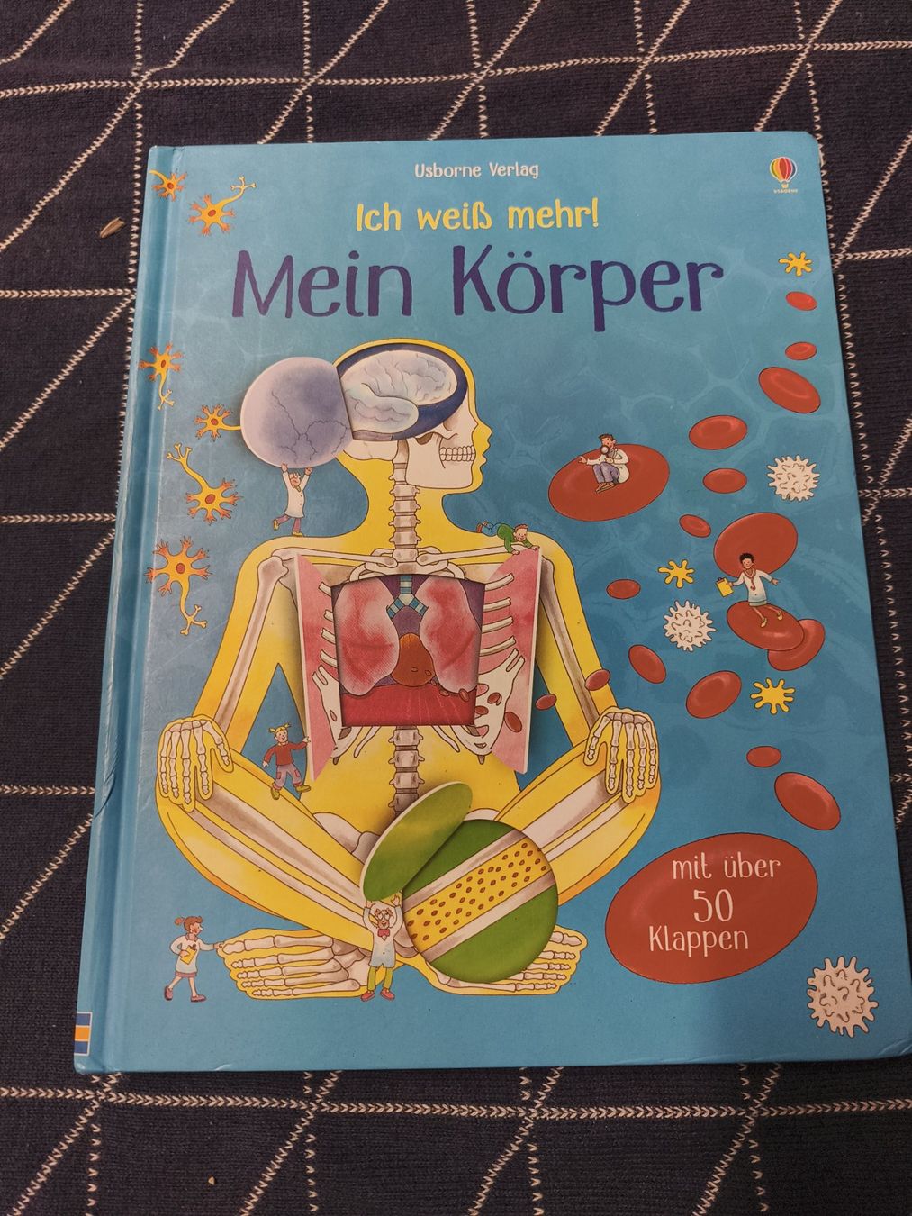 Bücher: Usborne Mein Körper Buch mit Klappen – Gebraucht aus MUEHLAU von ibo_5c7d