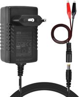 14.6V/1.5A Smart Charger, AC DC Power Adapter
