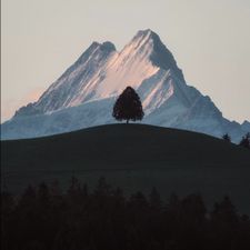 Profile image of Freddoo93