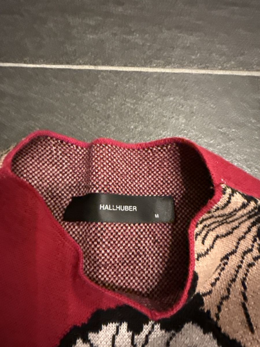 Hallhuber Maglioni & Felpe: Pullover  – Usato da Wiesendangen venduto da Schauzi 1