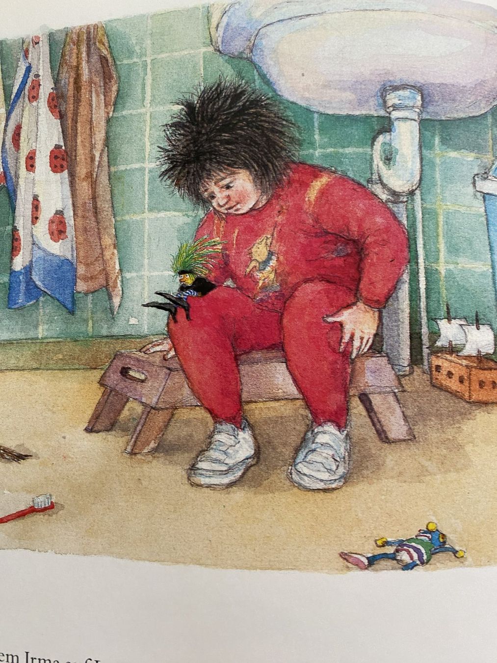 Livres: Irma hat so grosse Füsse – D'occasion à Sachseln par basti1950 3